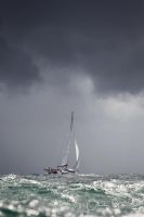 1D4_8003