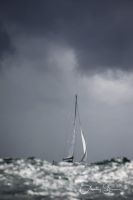 1D4_8006